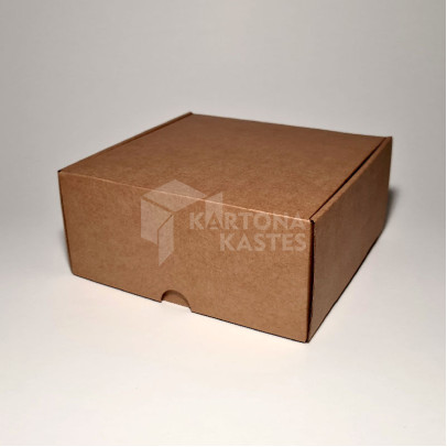 19 x 19 x 10 cm - kartona kastes 19 x 19 x 10 cm - kartona kastes