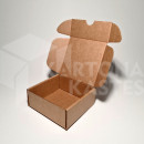 12 x 12 x 5 cm - kartona kastes 12 x 12 x 5 cm - kartona kastes