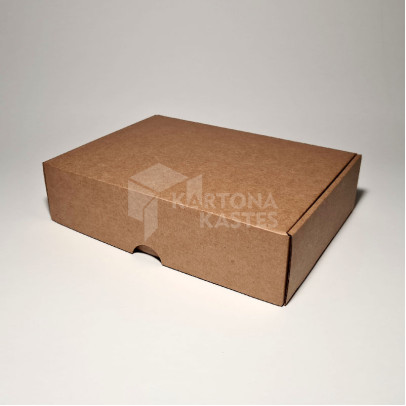 22 x 16 x 5.5 cm - kartona kastes 22 x 16 x 5.5 cm - kartona kastes